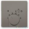 ABB Solo Regulator temperatury z lampką i przeWłącznikiem szary metalik