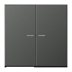 JUNG HOME BT AL 17102 AN - przycisk 2-krotny, with lens, Aluminium lakierowane, Seria LS, antracyt