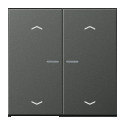 JUNG HOME BT AL 17102 P AN - przycisk 2-krotny, ze strzałkami, with lens, Aluminium lakierowane, Seria LS, antracyt