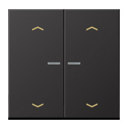 JUNG HOME BT AL 17102 P D - przycisk 2-krotny, ze strzałkami, with lens, Aluminium lakierowane, seria LS, dark