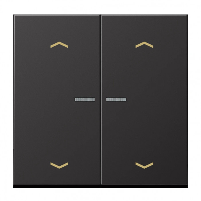 JUNG HOME BT AL 17102 P D - przycisk 2-krotny, ze strzałkami, with lens, Aluminium lakierowane, seria LS, dark