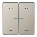 JUNG HOME BT ES 17102 P - przycisk 2-krotny, ze strzałkami, with lens, Seria LS, stal nierdzewna