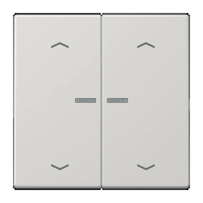 JUNG HOME BT LS 17102 P LG - przycisk 2-krotny, ze strzałkami, with lens, Duroplasty, Seria LS, jasno szary