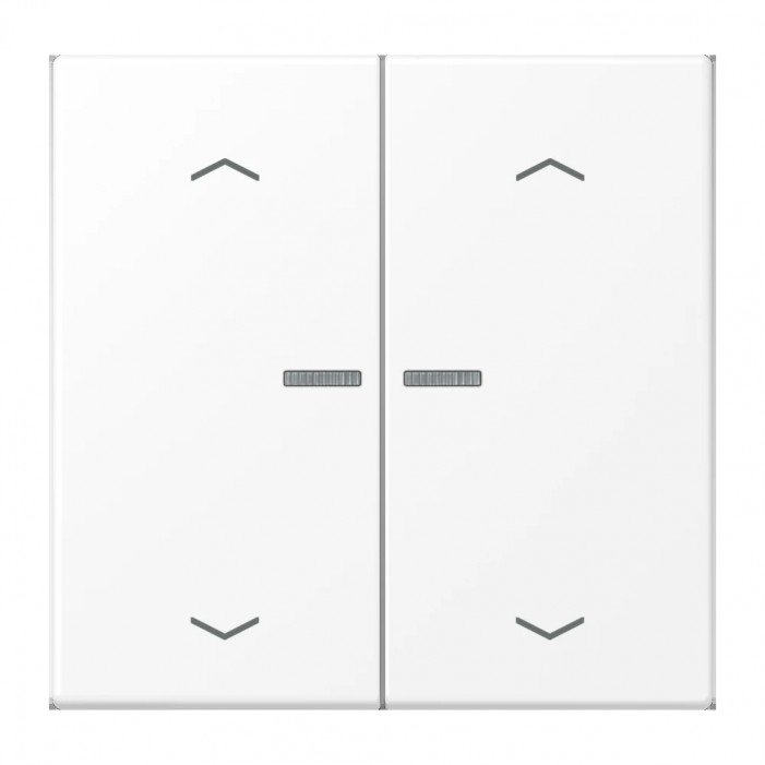 JUNG HOME BT LS 17102 P WWM - przycisk 2-krotny, ze strzałkami, with lens, Duroplasty lakierowane, Seria LS, biały mat