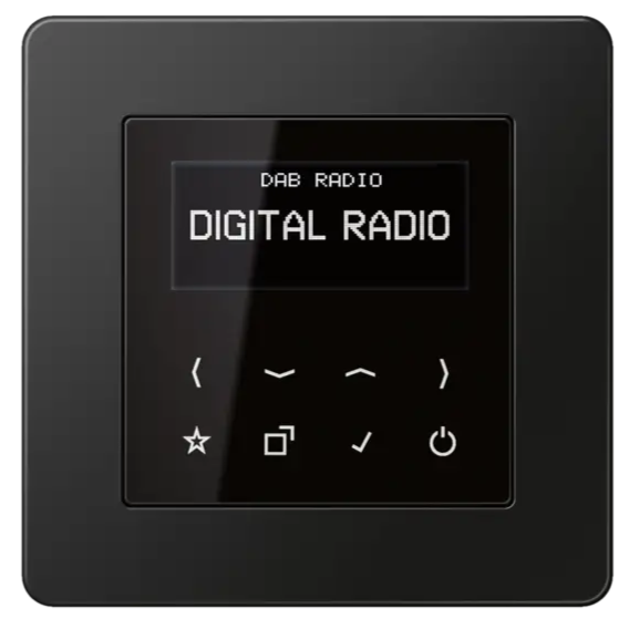 Radio Jung DAB podtynkowe